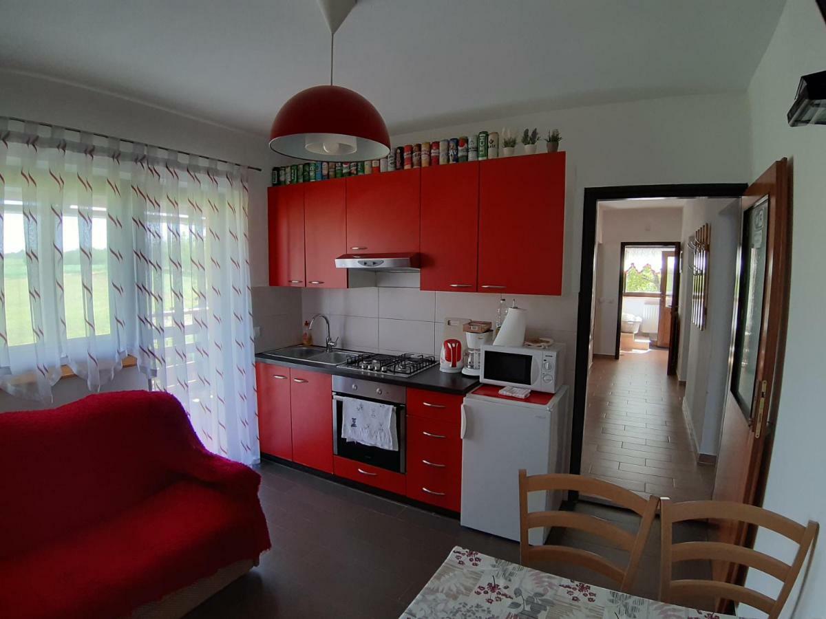 House Naomi Appartement Grabovac  Buitenkant foto